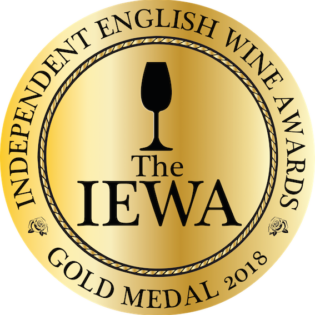 2018-the-iewa-medal-obverse-side-gold-transparent-background
